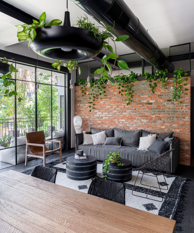 ed-אודליה ברזילי (12)